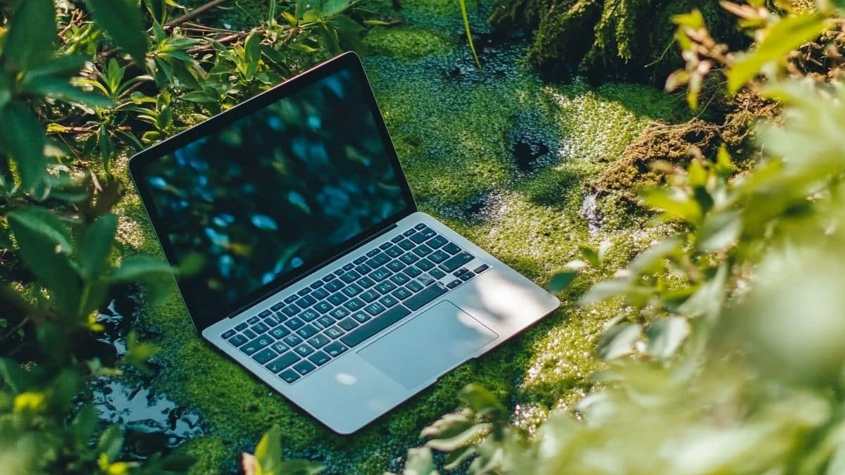 Chaque requête adressée à ChatGPT équivaut à la consommation d'un demi-litre d'eau.